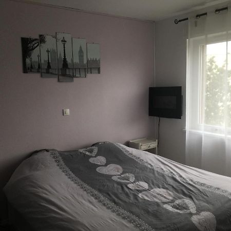 Apartament 2 Pieces - Quartier Calme - Parking Gratuit Metz Zewnętrze zdjęcie